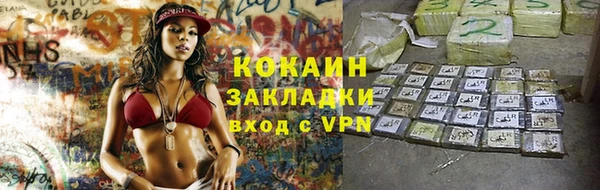трава Новозыбков